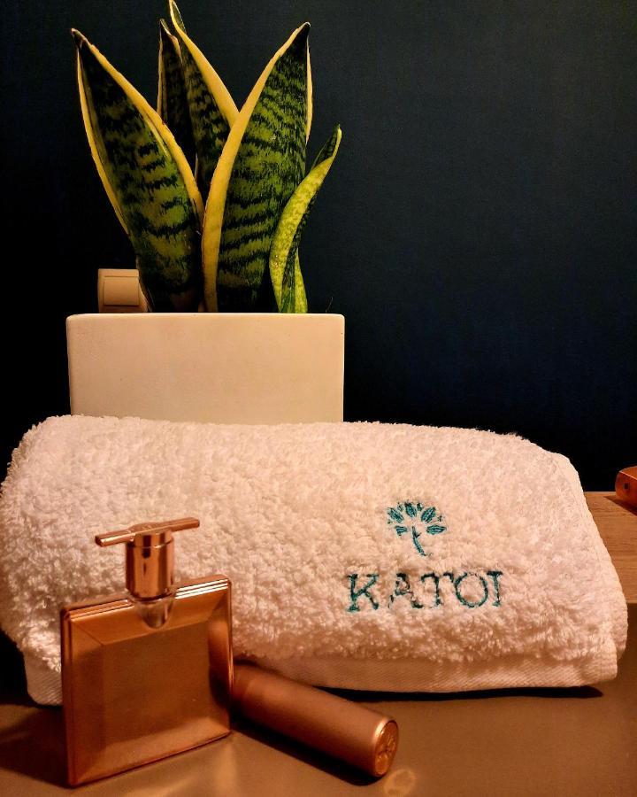 Katoi Traditional House Exo Khora Exteriör bild
